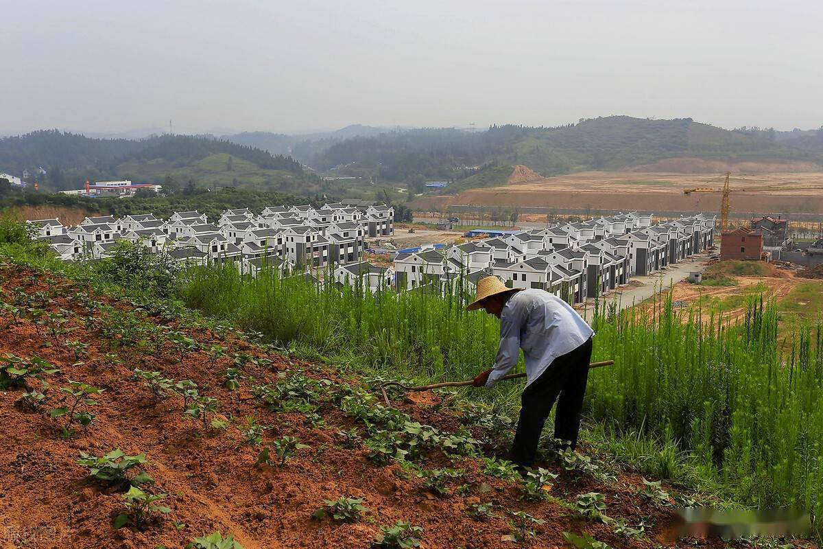 梦见自己去租别人的田地梦见租种别人的土地 自媒体热点