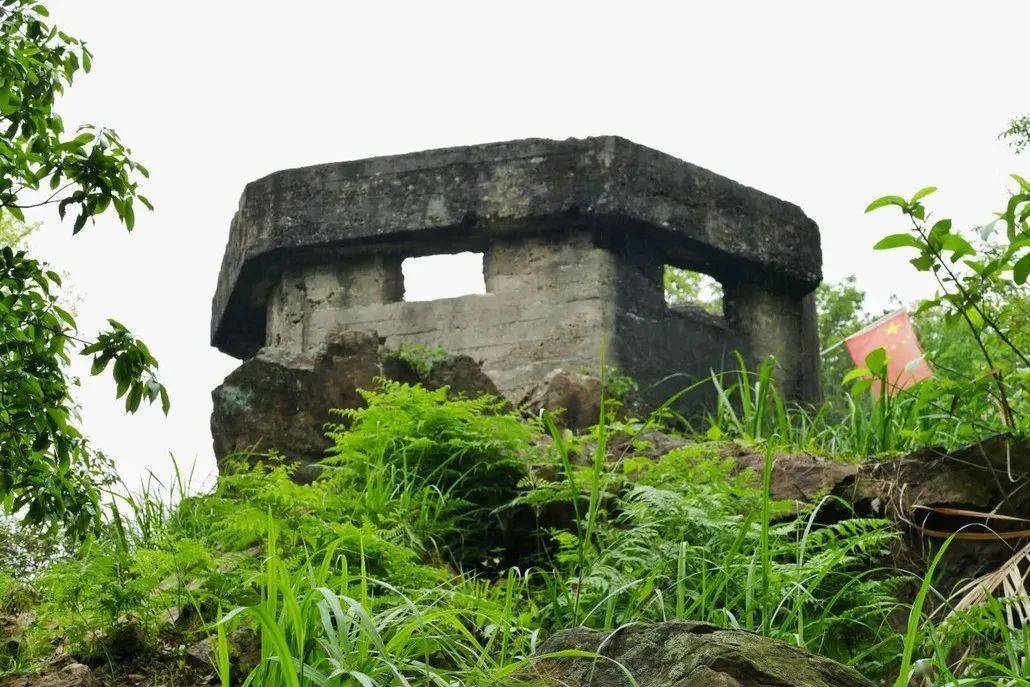 龍眼洞森林公園位於廣州天河區東北部,龍洞村西面山