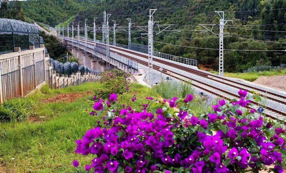 聚焦赞中老铁路亮了普洱沿途的风景也靓了