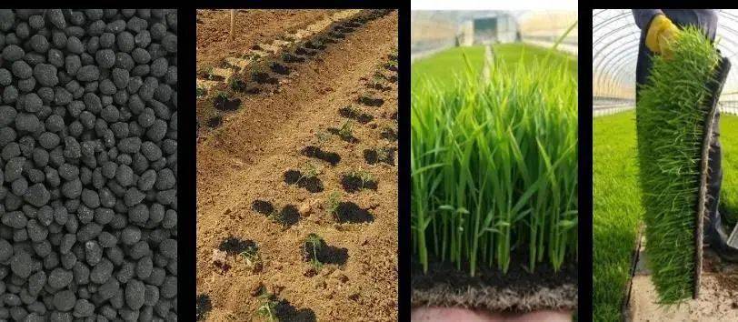 排放|技术流!今年这10项农业重大引领性技术,你知道几个?