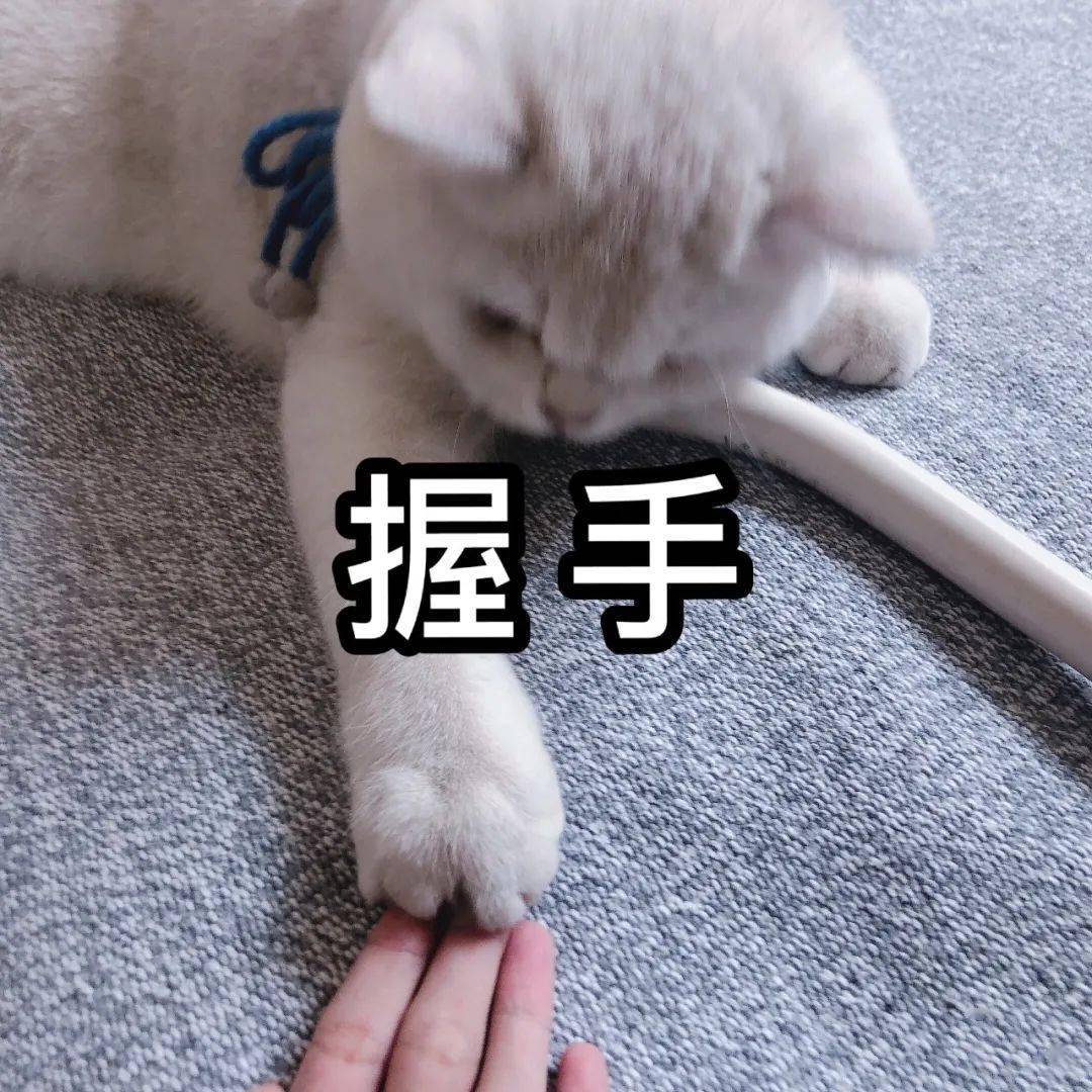 雨雨雨!平邑新一轮降雨来袭!最新天气预报发布!