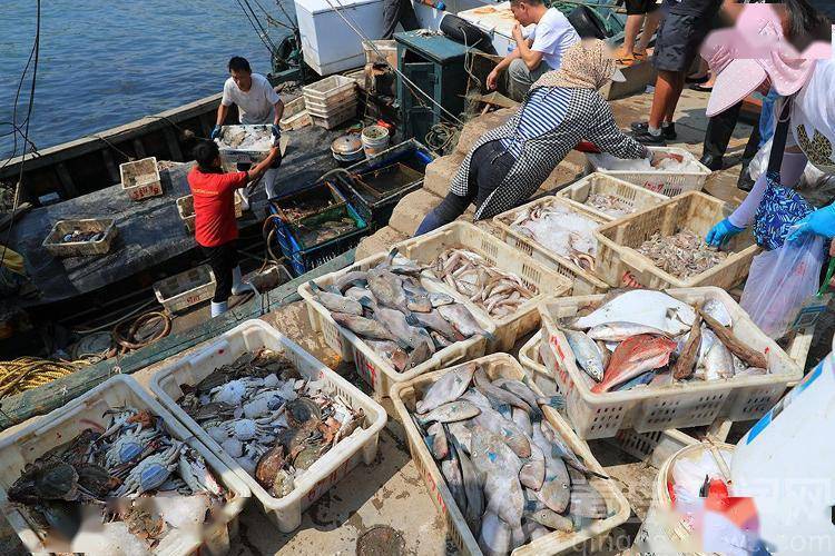 快乐就在开海时 渔港码头上市民争相购买刚刚捕获的海货