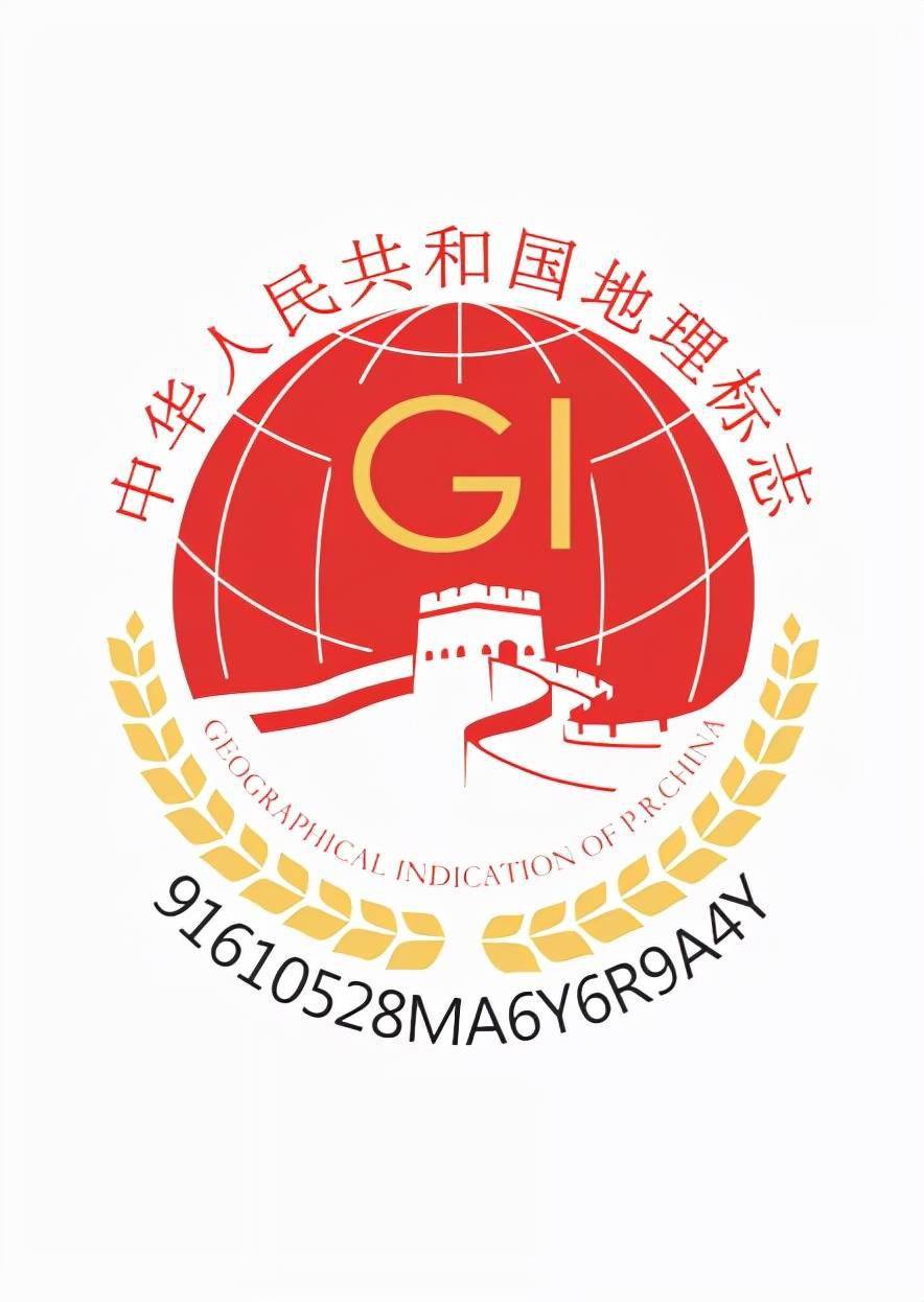 十四运会开幕式直播回放 85cf94821cba4704bd34b39183b86d63.jpeg