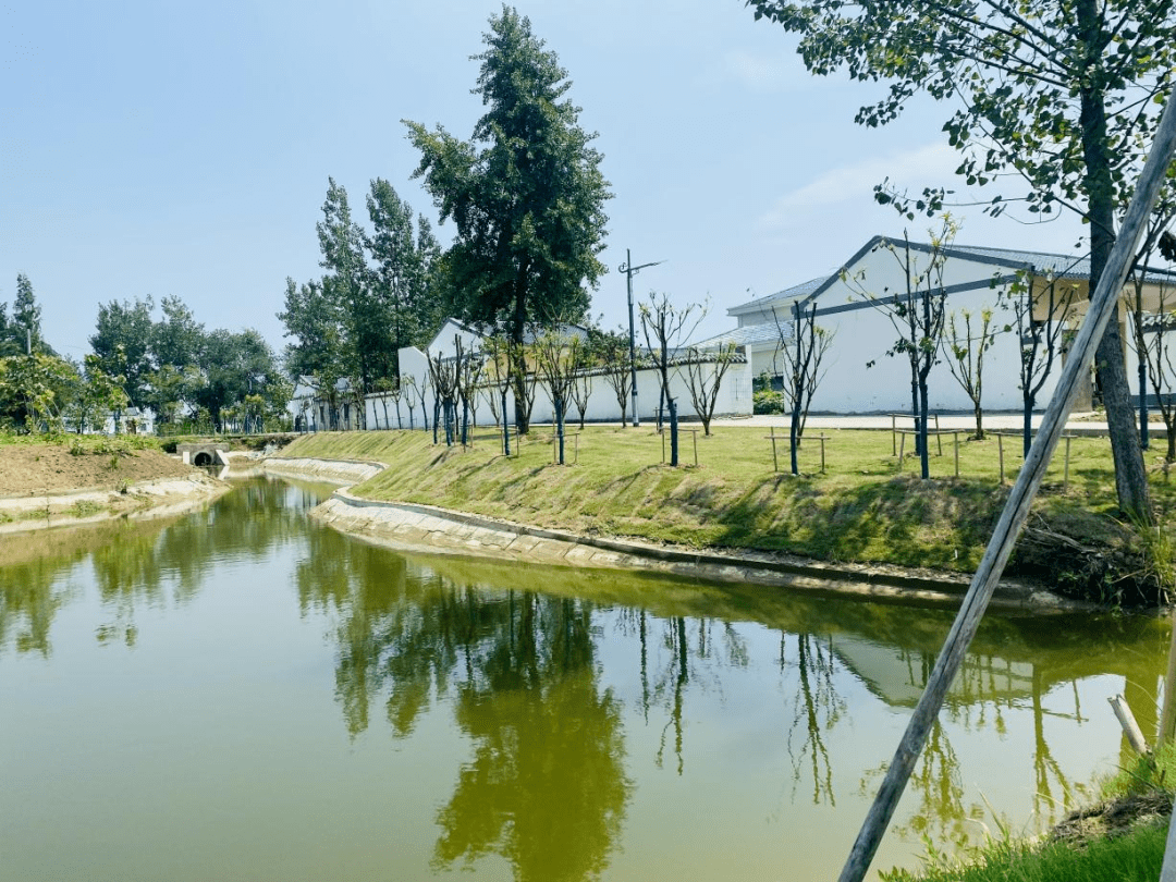 长丰县罗塘乡实施三大工程助力乡村振兴