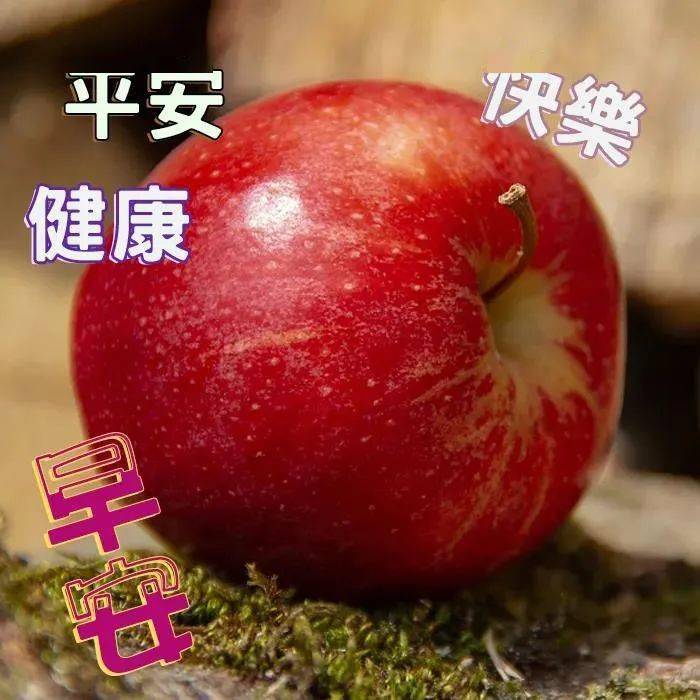 9月4日最漂亮早上好动态表情图片大全,早上好动图美图大全