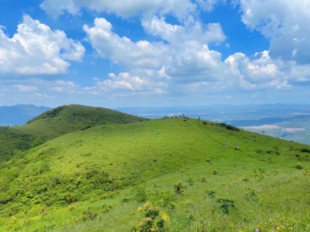 下周新线特惠128元龙头岭行摄广东武功山邂逅高山草甸遇见醉美的风景