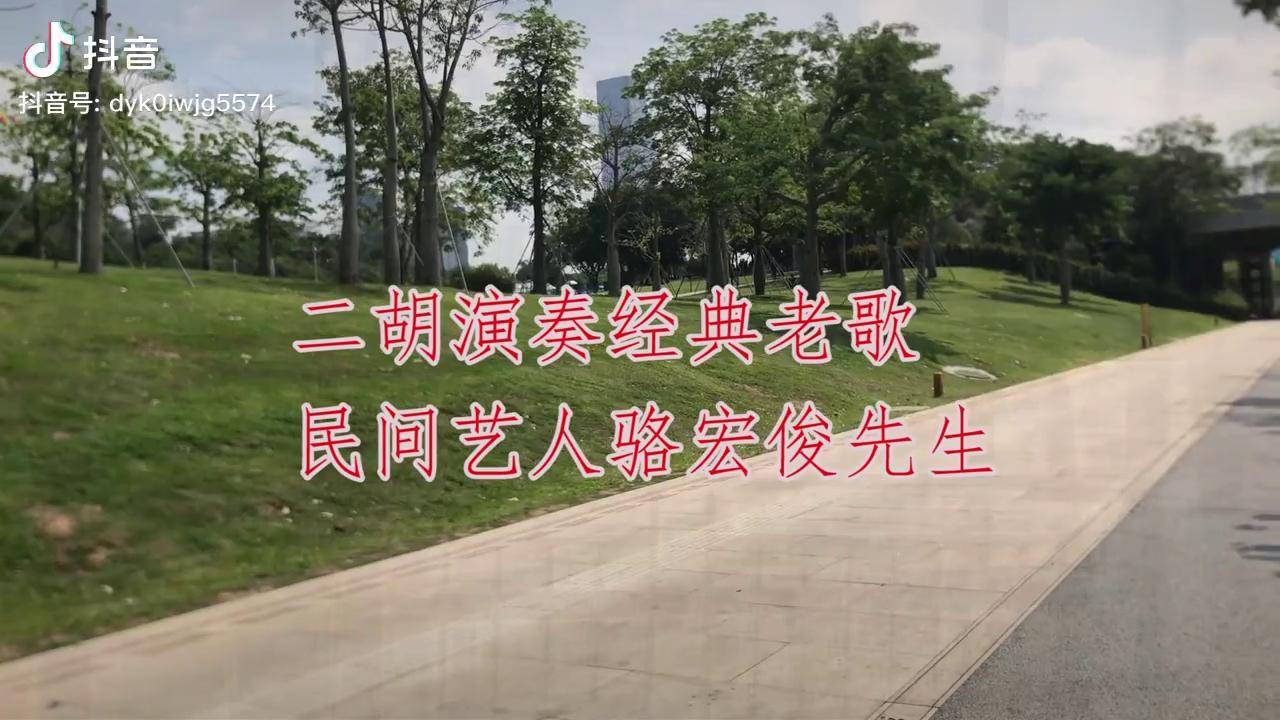 湖北骆老师街头表演,二胡串烧铁血丹心等经典歌曲,堪称经典