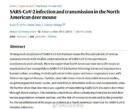 仓鼠|新线索！新冠病毒可感染北美鹿鼠并在鼠间传播