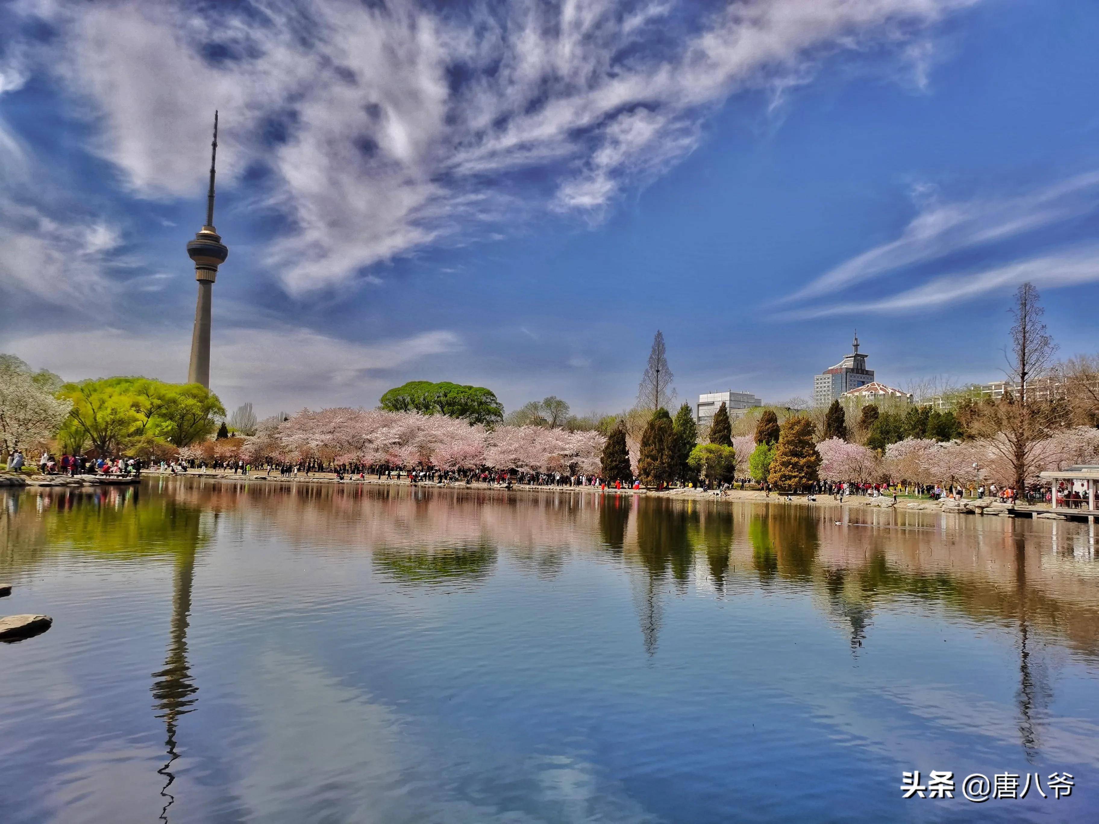 北京玉淵潭公園景色宜人公園的景色很美麗