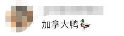 网友|动辄上万一件还总断货的网红羽绒服“翻车”！网友：加拿大鹅还是加拿大鸭？