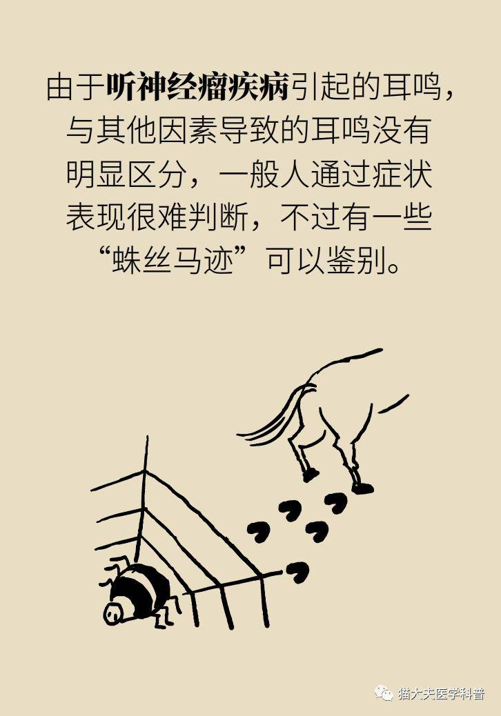 张明山|耳鸣是人老了听力不行了？错，可能藏着个大病