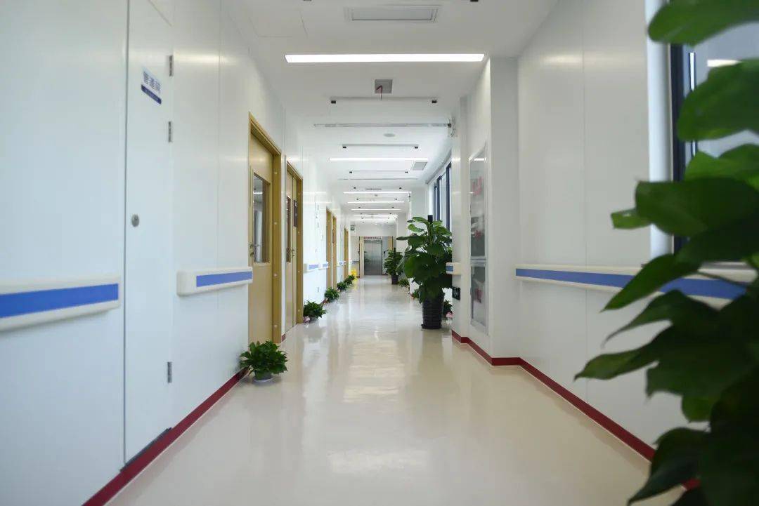 看点上海瑞金医院启用标准化发热门诊大楼