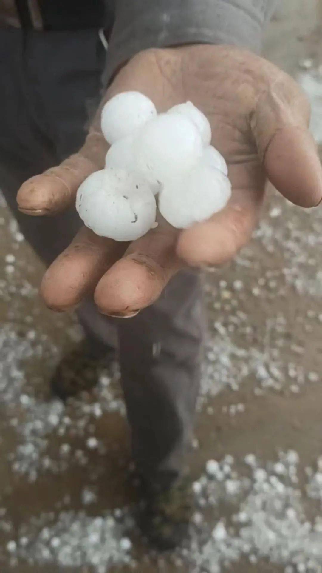 张家口一地又遭冰雹袭击!