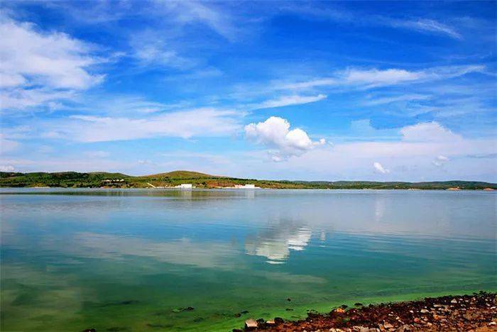 鲤鲫鲢鲶草鱼池沼工鱼好不热闹, 多伦湖水库水面面积略小于密云水 