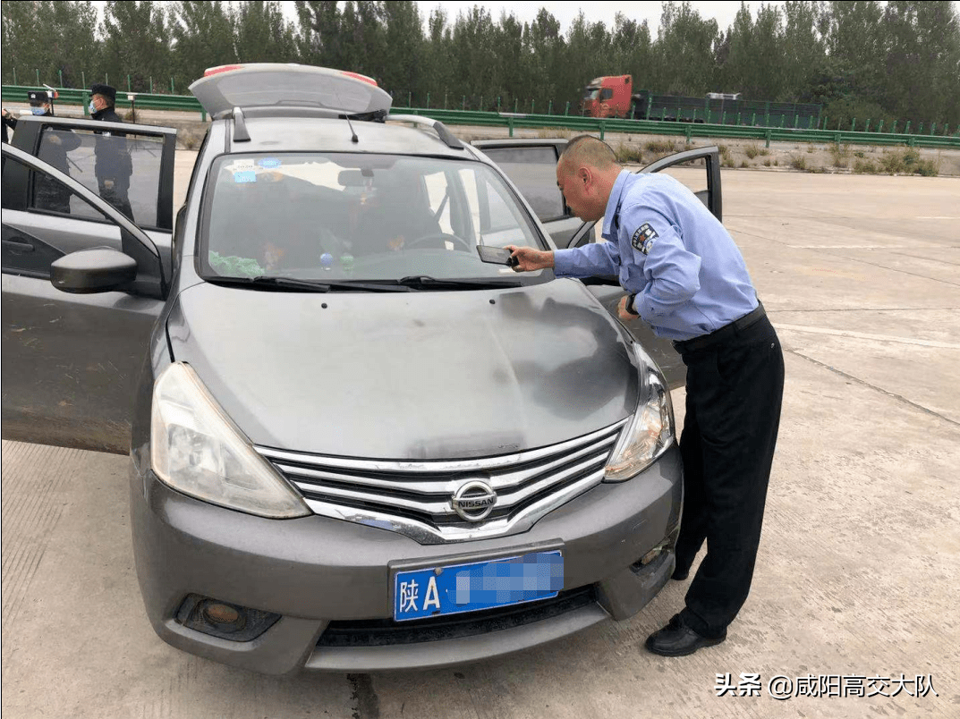 长武省际巡查大队查获一起毒狗运输案件