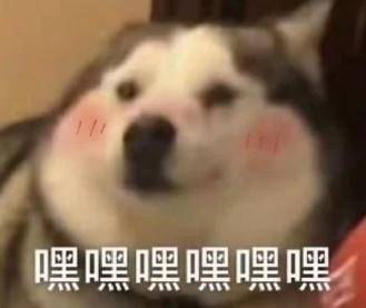 丁程鑫|《夏日少年派》的时尚态度刷屏了