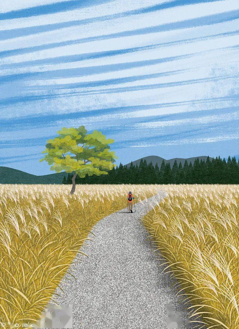 四季流转的插画抒情诗