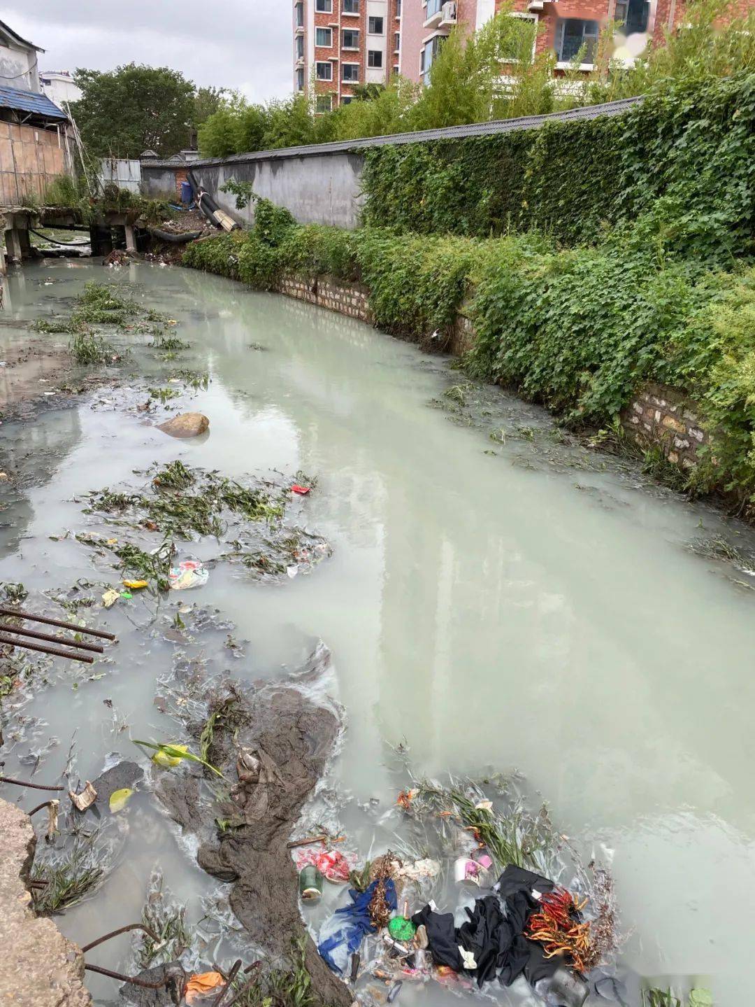 冬季旅遊｜泡「高山溫泉」賞「現代冰川」 四川海螺溝「六絕」歎為觀止| 旅遊風物| 潮遊生活| 當代中國, image size:1080x1439
