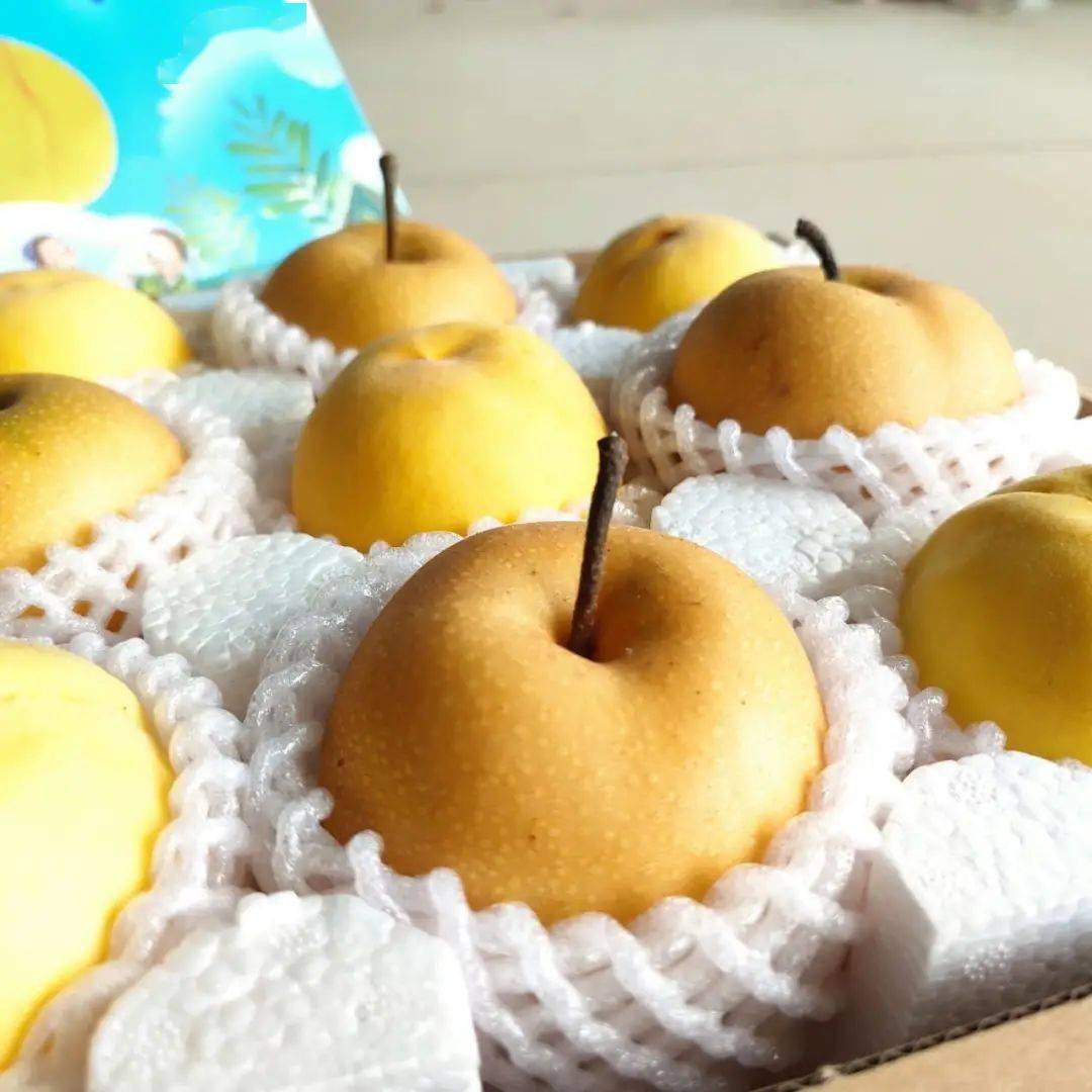 【礼盒·顺丰】"桃梨满天下"9·10教师节!师恩似海深!金黄后黄桃 秋月