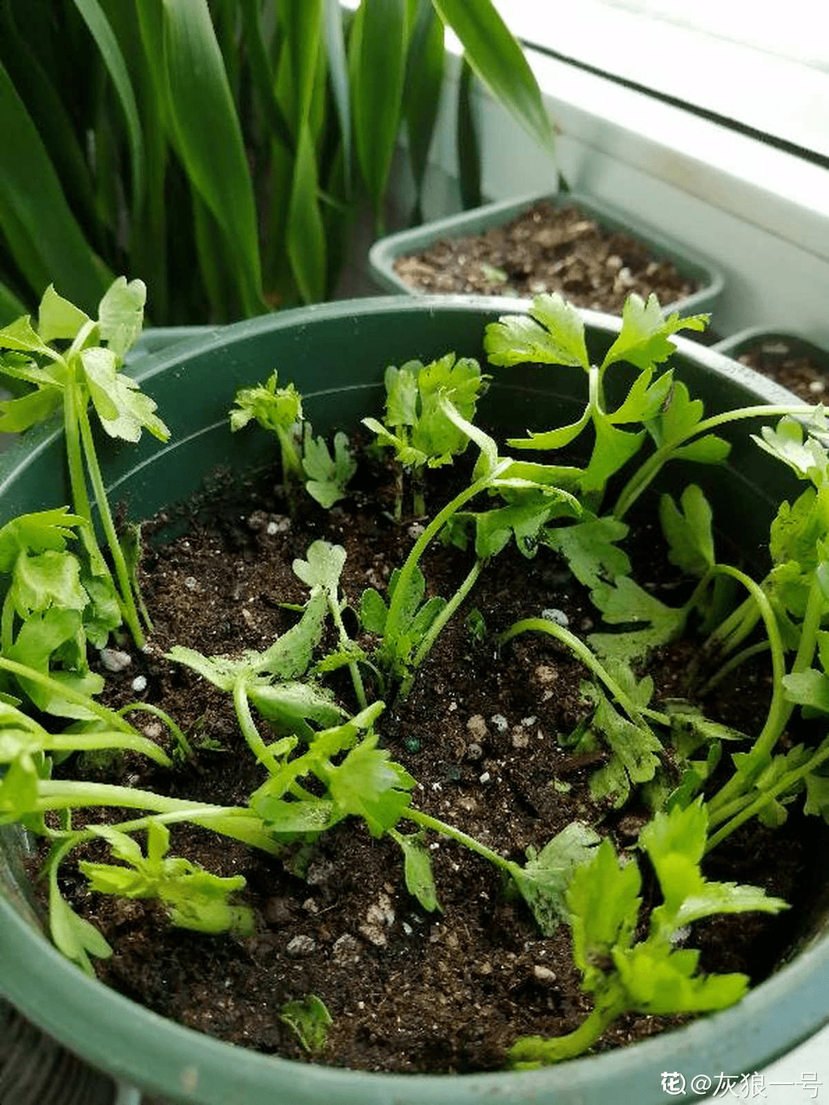 51346c24539140deaa02dc1447d59ff7.png