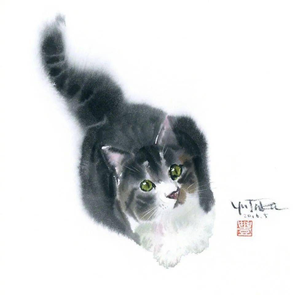 水彩画|水彩小猫咪​​​​_搜狐网