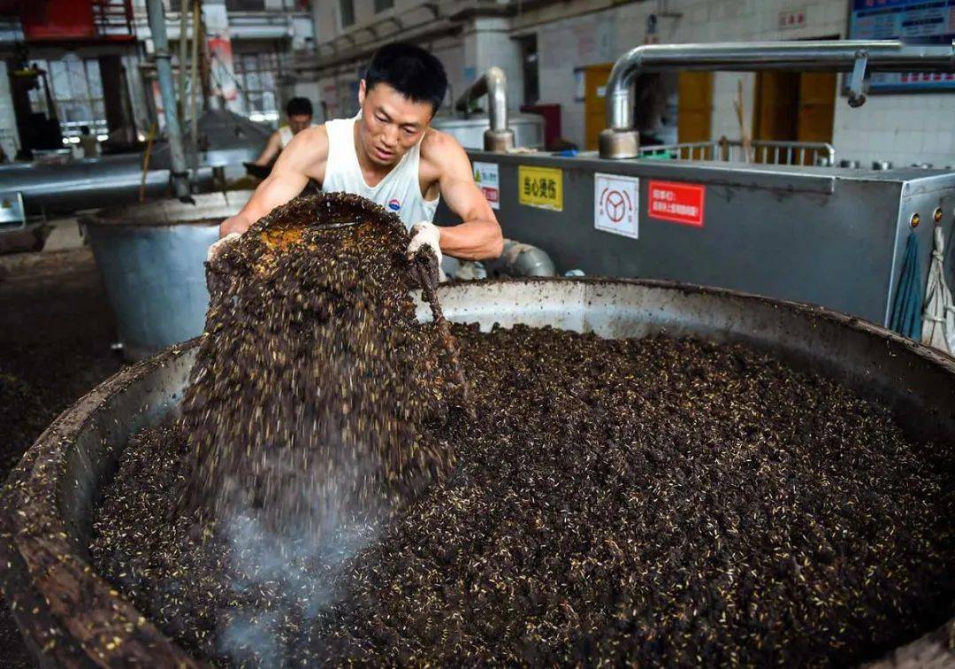 温文儒雅六轮次——茅台酒传统酿造工艺影像探秘之九_车间
