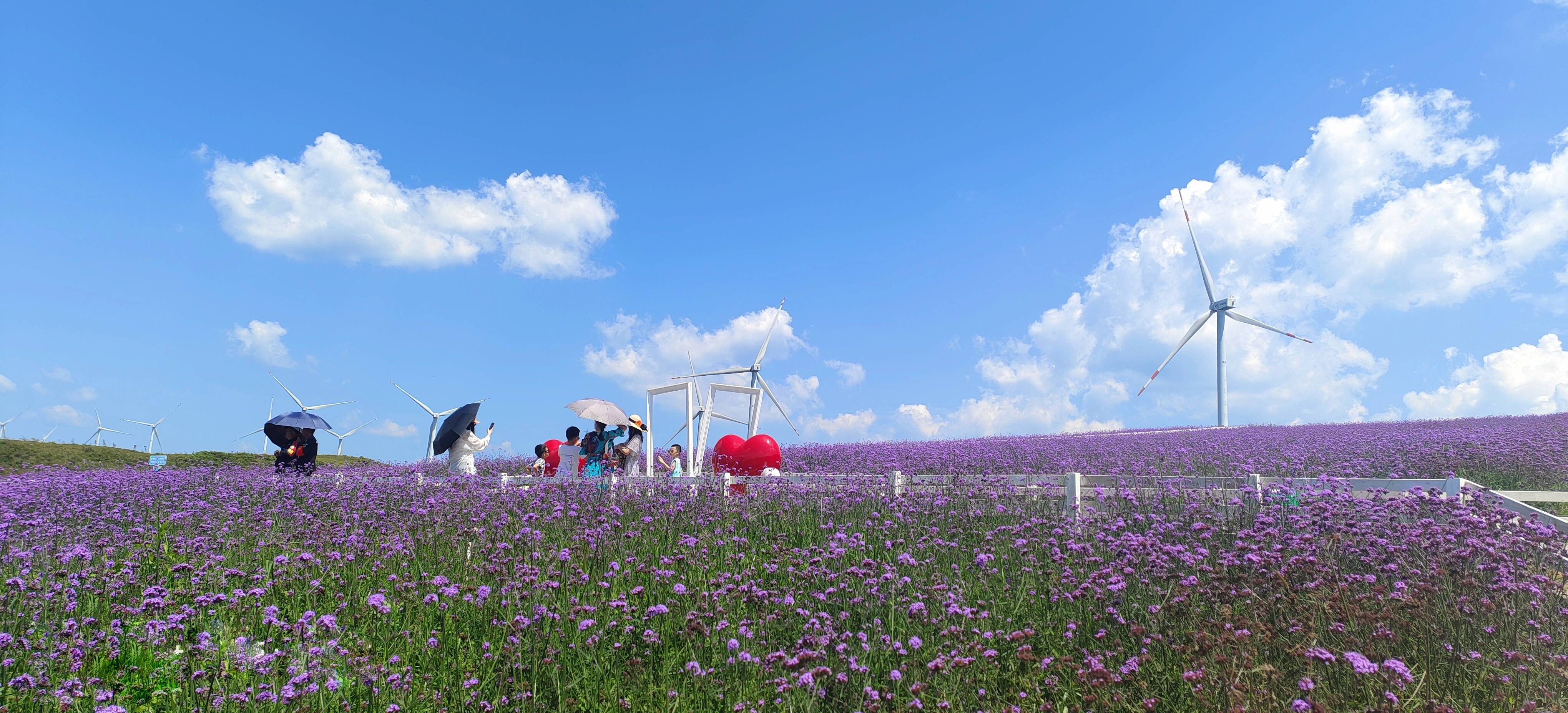 高坡云顶位于贵阳市花溪区高坡乡,占地约2000亩,海拔1612米,是贵阳市