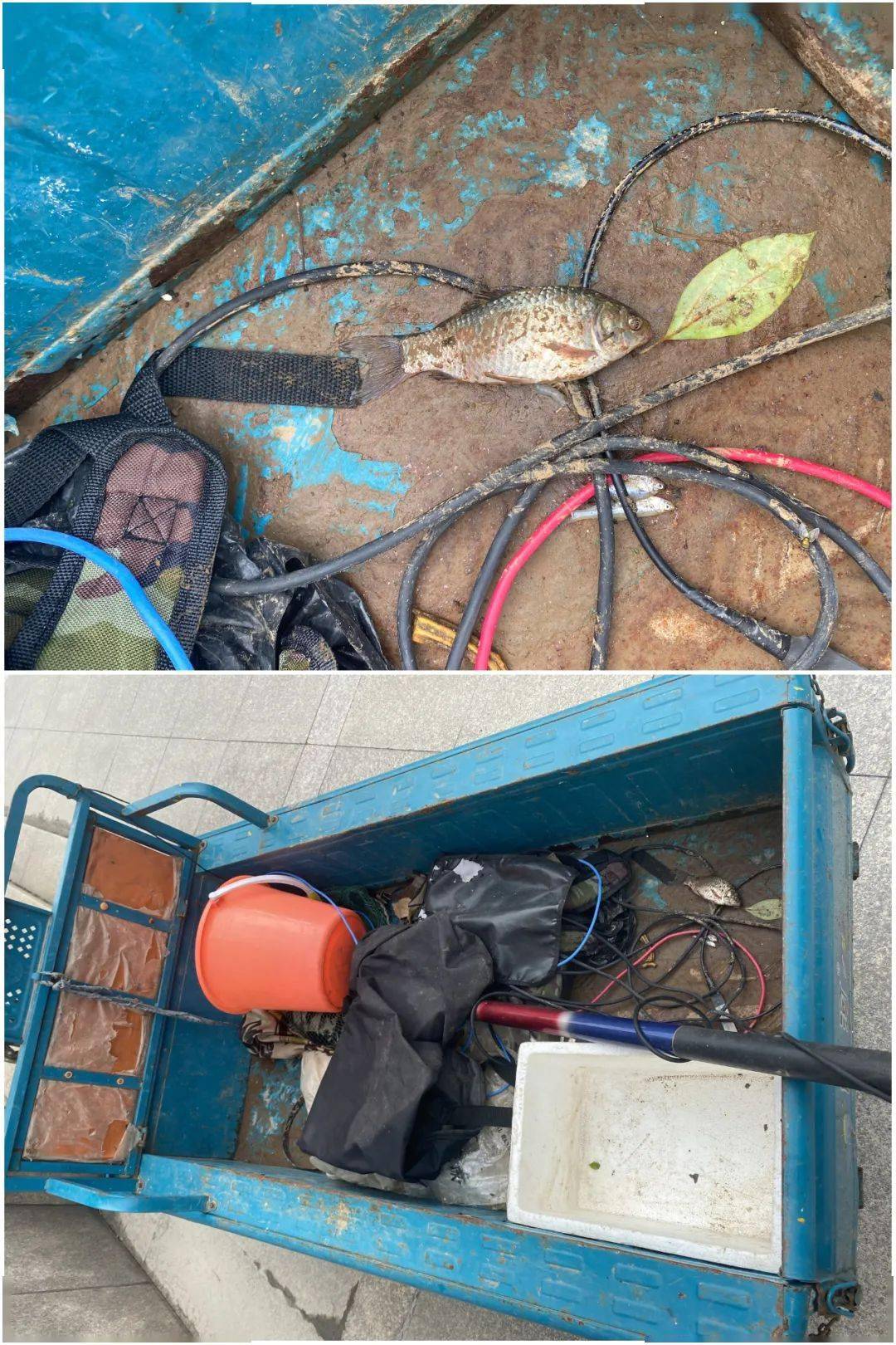 (58岁,萧山人)在 宁围街道新安村机场公路北侧利群河水域进行电捕鱼