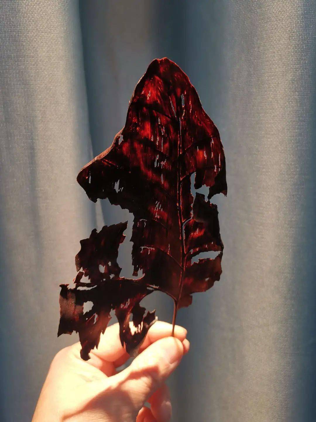 这片用红木雕刻的枯叶,最薄处只有0.1毫米