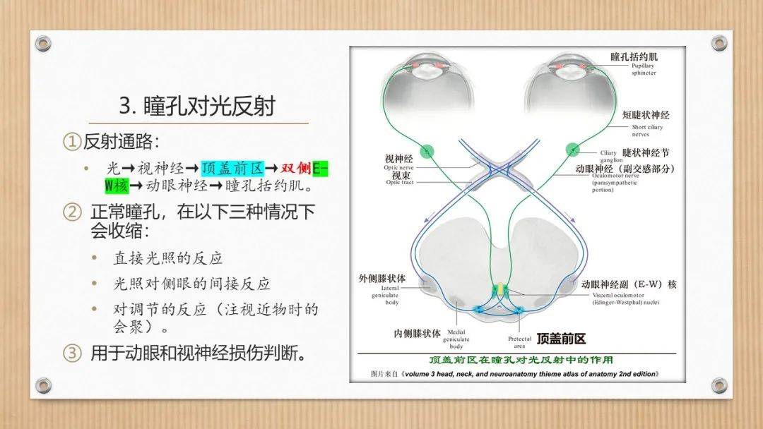 必备 神经系统查体简要思路 内容