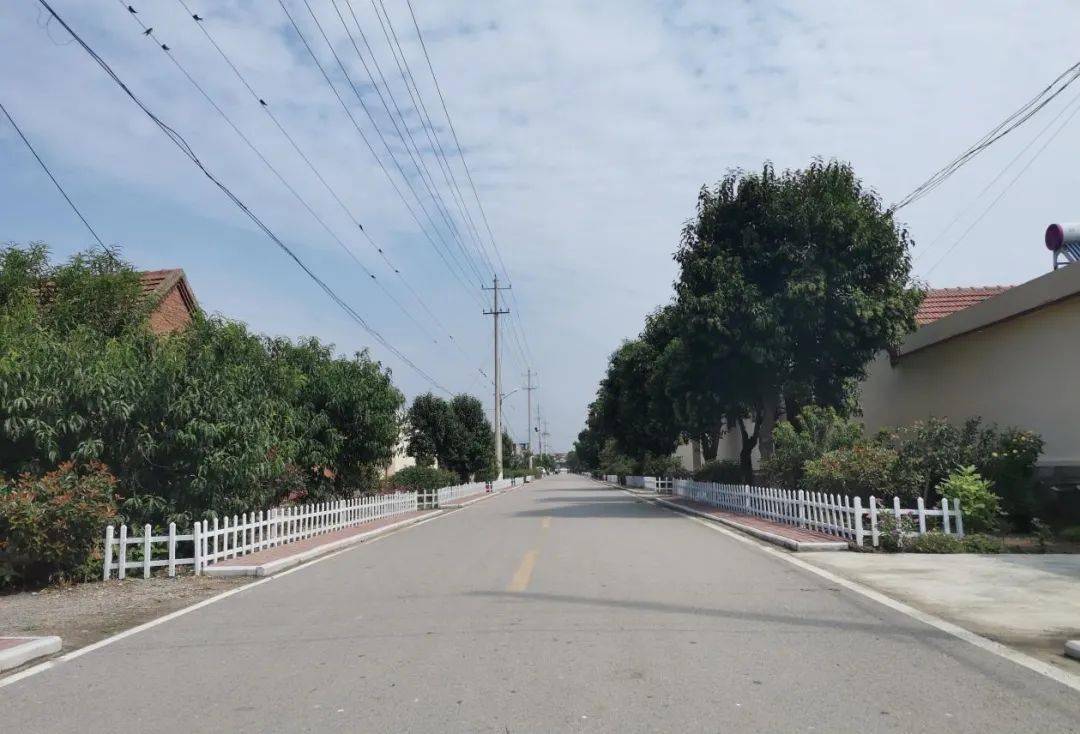 市"十佳美丽乡村"之滕州市大坞镇刘南村_进行