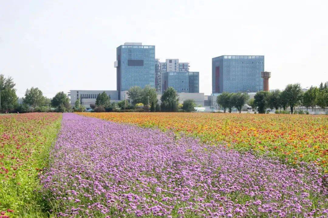 北京怀柔 校区图片