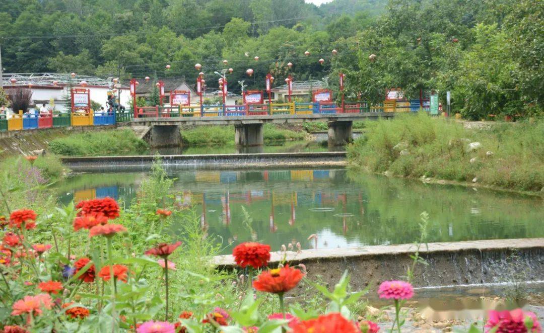 走进成县沙坝镇杨坝村,碧水清流的野马河绕村子而过,随处可见的鲜花