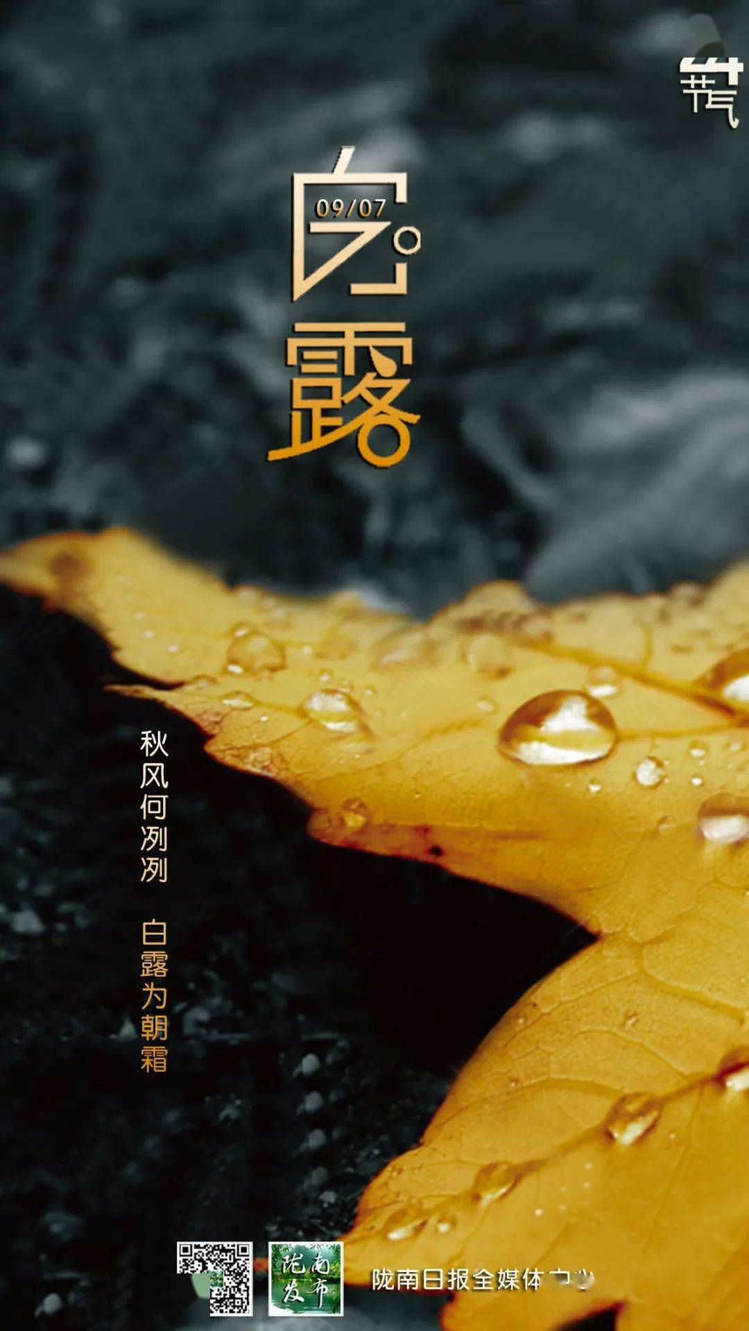 1080_1919竖版 竖屏