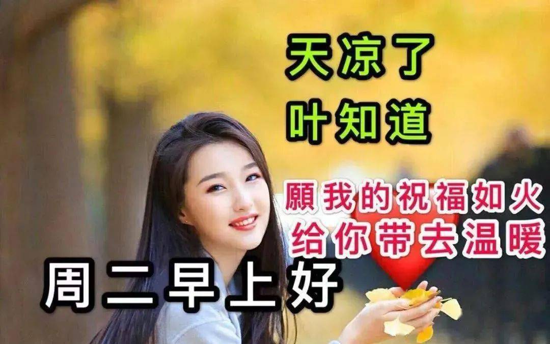 秋天最新特漂亮早上好鲜花动画图片祝福语2021最美秋日早安问候祝福语