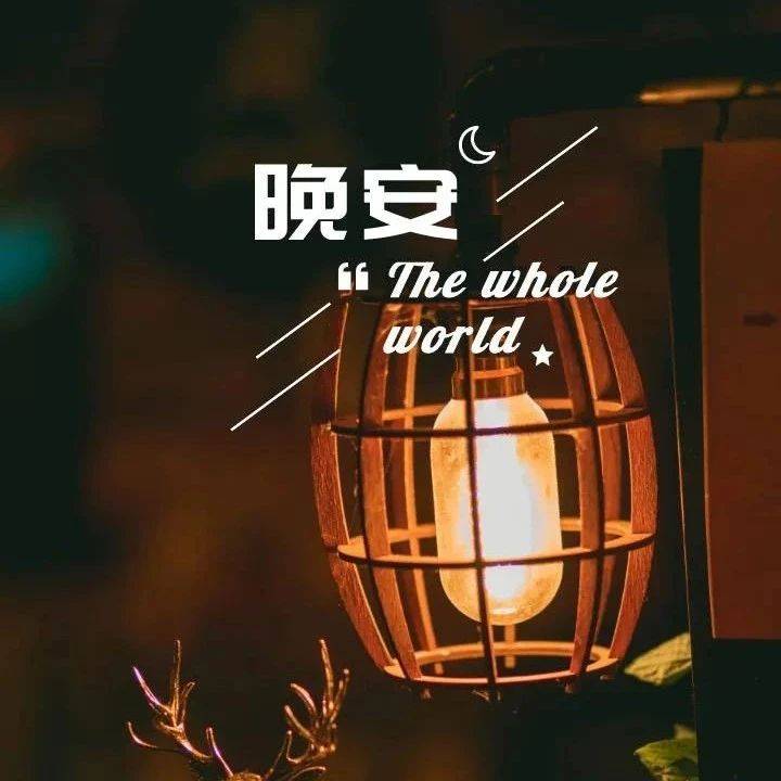 晚安治愈人心的文案句子_生活