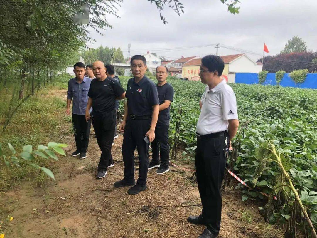 9月6日,单县综合行政执法局党组书记,局长刘蜜,现场督导城乡垃圾综合