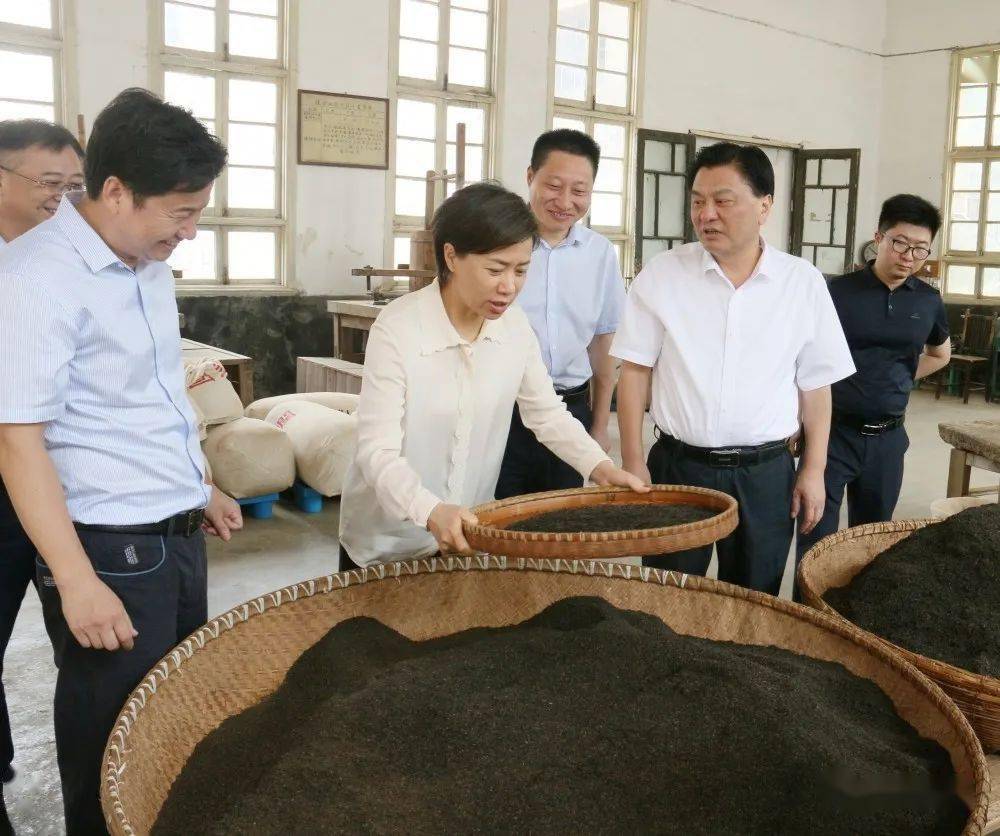 田昕一行首先來到梅村鎮霄坑村,瞭解霄坑村茶產業發展情況.