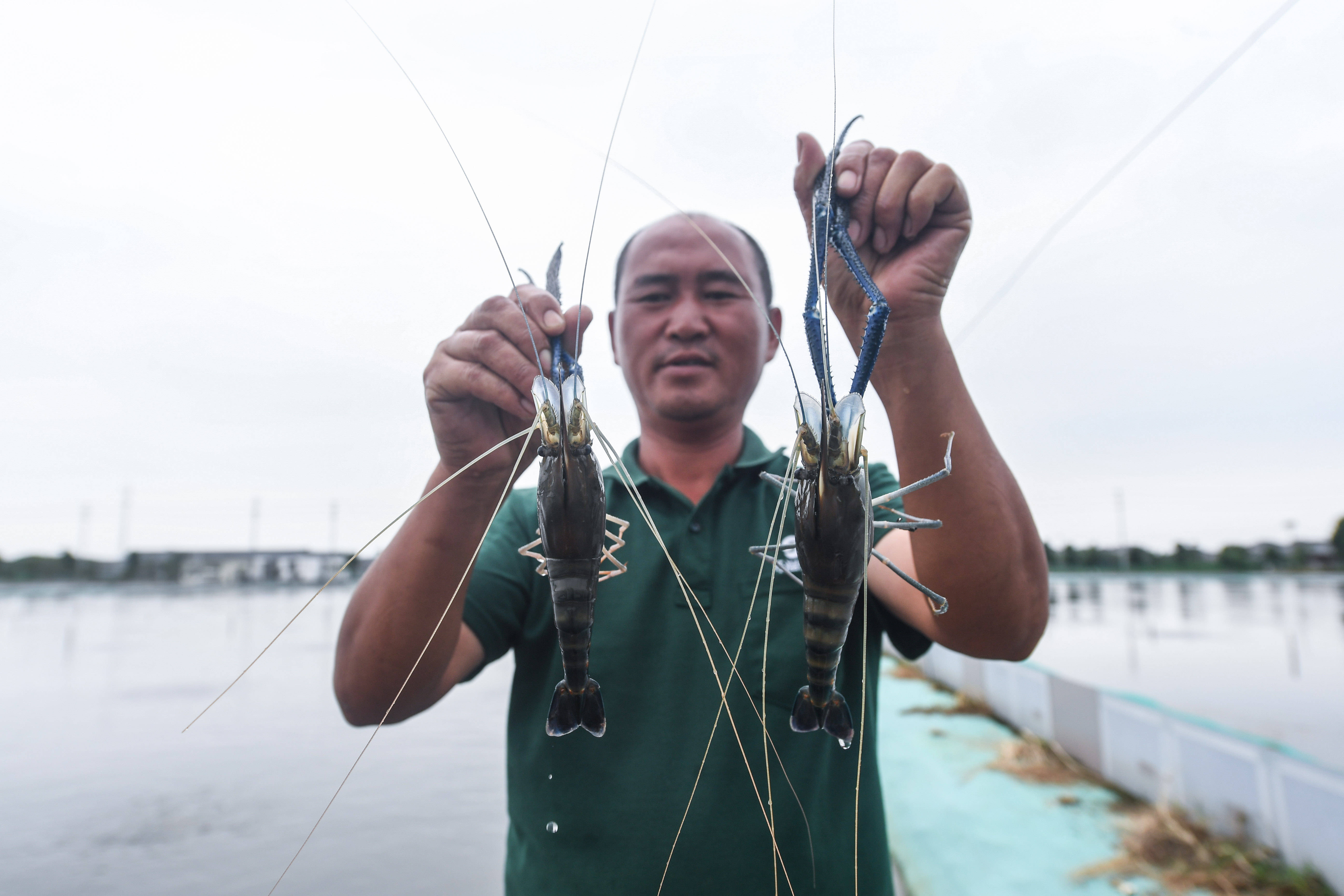 浙江湖州推进特色生态水产养殖助力乡村共同富裕