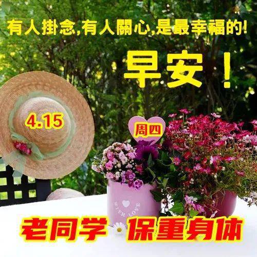 早上好表情包,感恩有你,老同学:时光不老,我们不散!_祝福