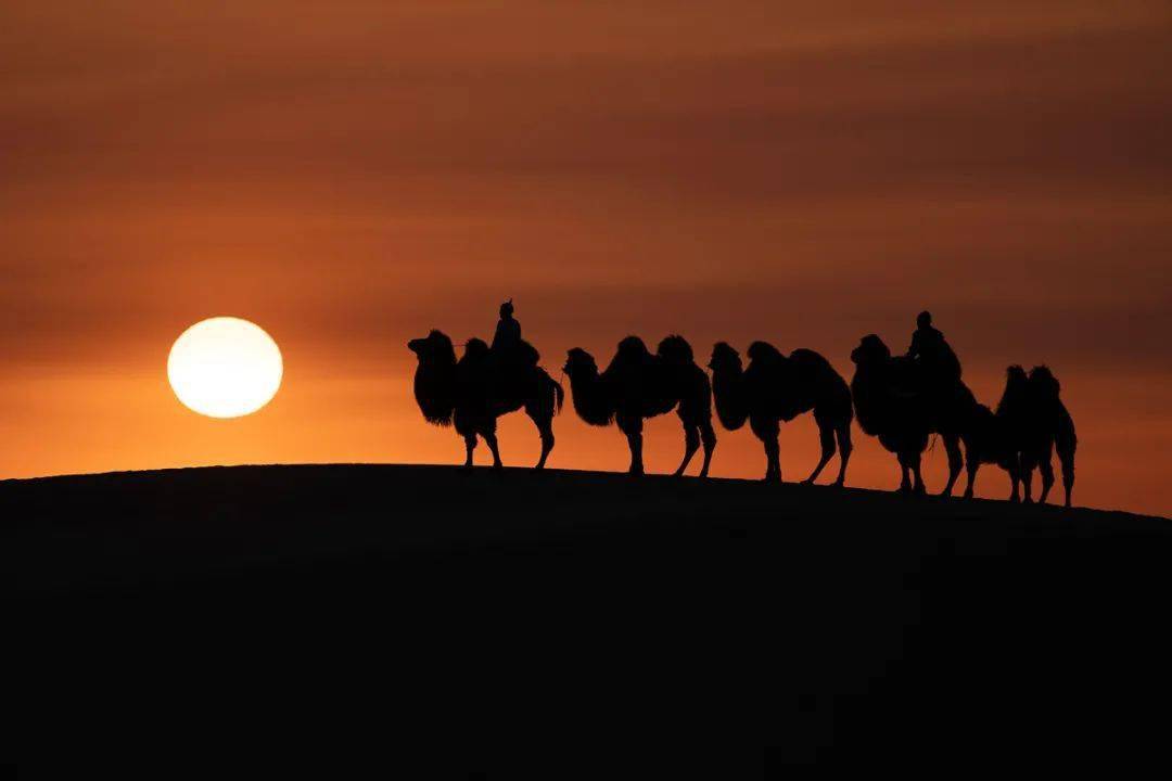 18度影像北京站景明影像ii唯美人像9月1720日奈曼旗唯美人体驼队冲沙