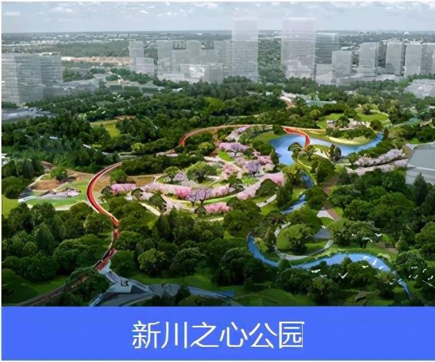 成都前沿医学中心所在的新川创新科技园,致力于打造一座创新,生态