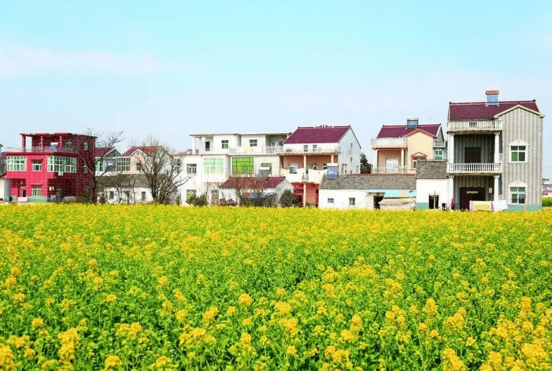 五年来,马鞍山人居环境美了,乡村颜值靓了!