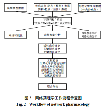 网络药理学流程图图片