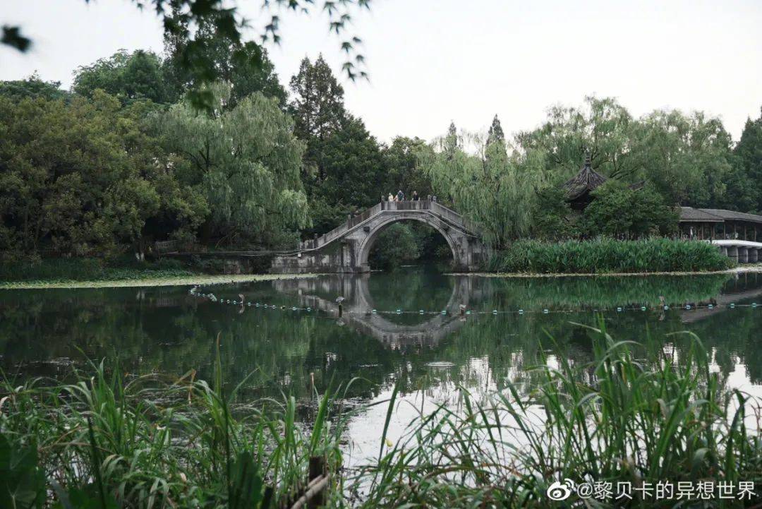 Polo|攒了4个月，最近爱穿的衣服一次性分享给你们