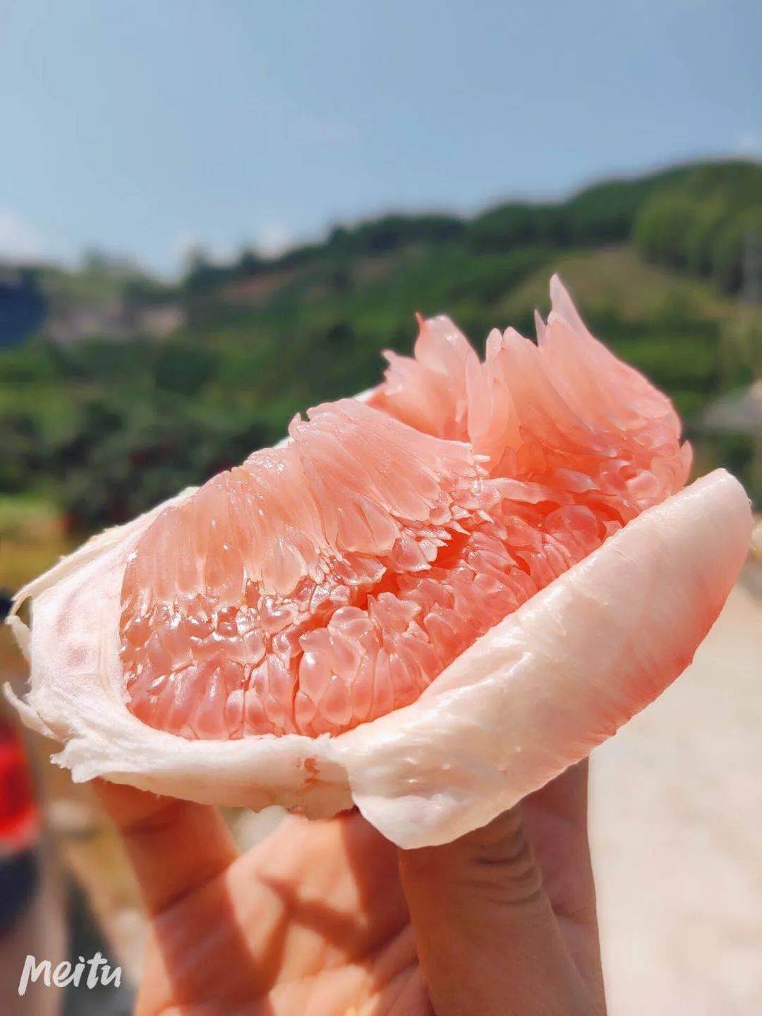 河池特产柚惑十足环江红心柚上市啦218元5斤装包邮香甜爽口送礼佳品