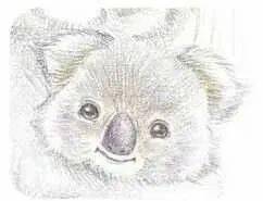 e78c89301caa447fad309ff94b73e6de.jpeg