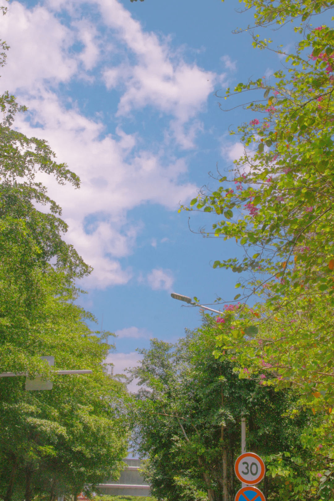 整个夏天都要过去了你还没看过福州的日出吗