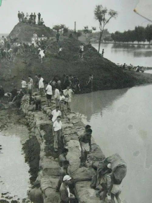 难忘1963年徐水那场特大洪水
