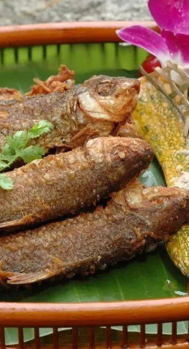 美食征集令 | 五指山美食千千万,你最中意哪一款?